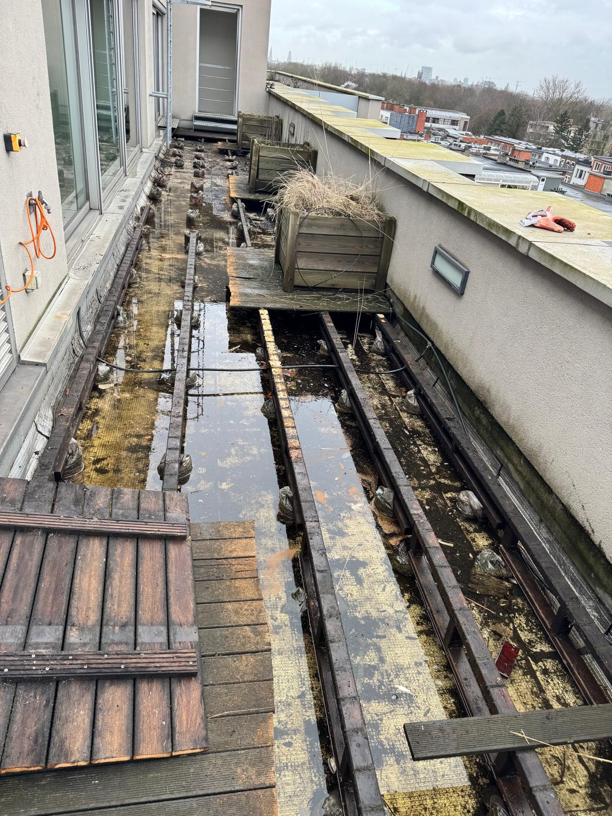 Buitenaanleg Terras Belfius Berchem