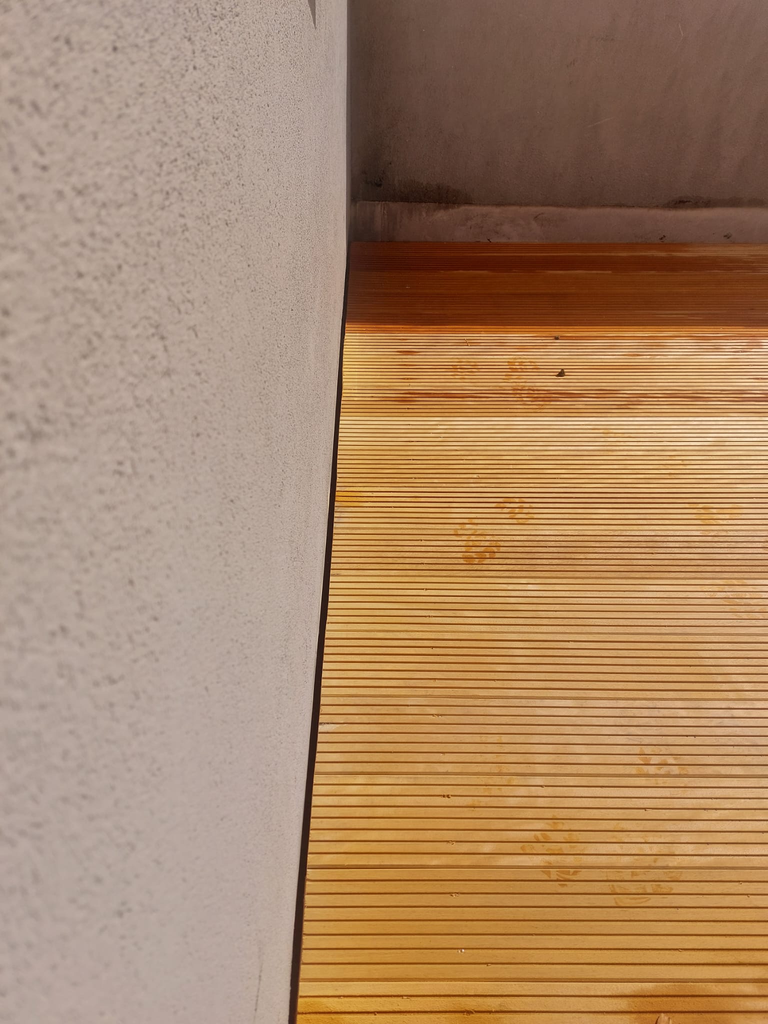 Buitenaanleg Terras Belfius Berchem – foto 20